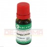 SPONGIA LM 12 Dilution 10 ml | СПОНДЖИЯ раствор 10 мл | ARCANA DR. SEWERIN