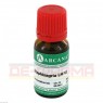 STAPHISAGRIA LM 6 Dilution 10 ml | СТАФІЗАГРІЯ розчин 10 мл | ARCANA DR. SEWERIN