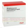 STREPTOCOCCUS HAEMOLYTICUS Injeel Ampullen 100 St | СТРЕПТОКОККУС ГЕМОЛИТИКУС ампулы 100 шт | BIOLOGISCHE HEILMITTEL HEEL