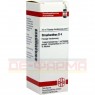 STROPHANTHUS D 4 Dilution 20 ml | СТРОФАНТУС розчин 20 мл | DHU