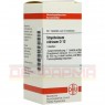 STRYCHNINUM NITRICUM D 12 Tabletten 80 St | СТРИХНІНУМ НІТРИКУМ таблетки 80 шт | DHU