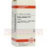 SULFUR JODATUM D 12 Tabletten 80 St | СУЛЬФУР ЙОДАТУМ таблетки 80 шт | DHU