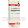 SYZYGIUM JAMBOLANUM D 10 Globuli 10 g | СИЗИГИУМ ДЖАМБОЛАНУМ глобули 10 г | DHU