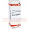 SYZYGIUM JAMBOLANUM D 6 Dilution 20 ml | СИЗИГИУМ ДЖАМБОЛАНУМ раствор 20 мл | DHU