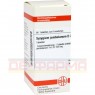 SYZYGIUM JAMBOLANUM D 2 Tabletten 80 St | СІЗІГІУМ ДЖАМБОЛАНУМ таблетки 80 шт | DHU