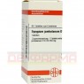 SYZYGIUM JAMBOLANUM D 4 Tabletten 80 St | СІЗІГІУМ ДЖАМБОЛАНУМ таблетки 80 шт | DHU