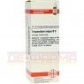 TROPAEOLUM MAJUS D 3 Dilution 20 ml | ТРОПЕОЛЮМ МАЮС розчин 20 мл | DHU