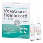 Вератрум Хомаккорд | Veratrum Homaccord