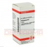 VERBASCUM D 6 Tabletten 80 St | ВЕРБАСКУМ таблетки 80 шт | DHU