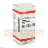 ZINCUM METALLICUM D 8 Tabletten 80 St | ЦИНКУМ МЕТАЛЛИКУМ таблетки 80 шт | DHU