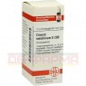 ZINCUM METALLICUM D 200 Globuli 10 g | ЦИНКУМ МЕТАЛІКУМ глобули 10 г | DHU