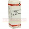 ZINGIBER D 4 Dilution 20 ml | ЗІНГІБЕР розчин 20 мл | DHU